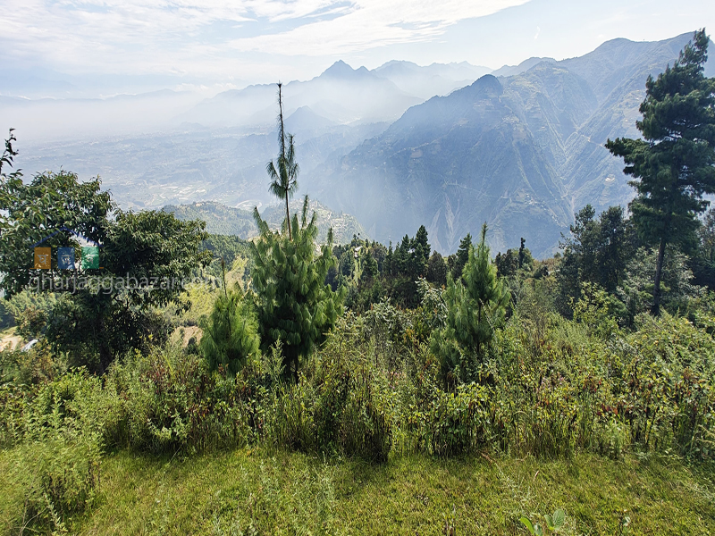 Land for Hotel Resort on Sale at Chaimale