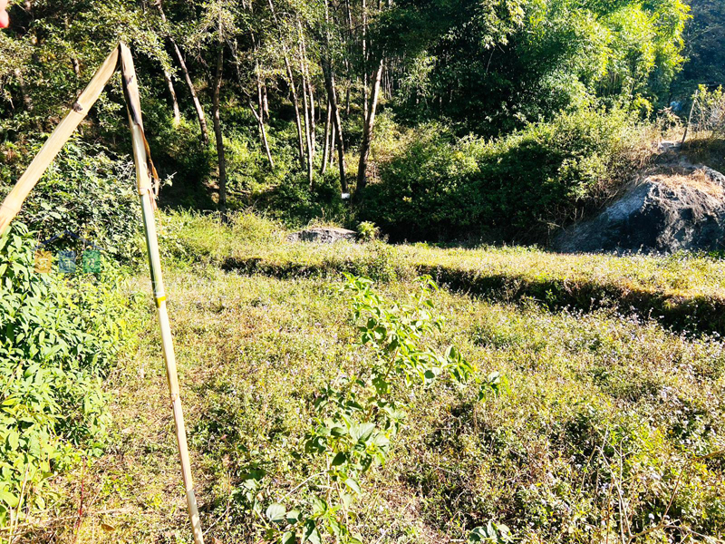 Land on Sale at Budhanilkantha