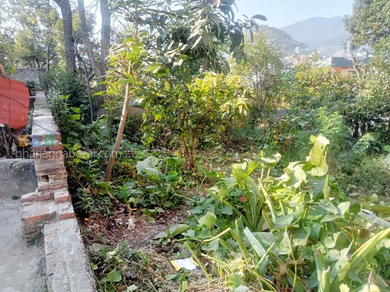 Land on Sale at Chhauni Kimdol