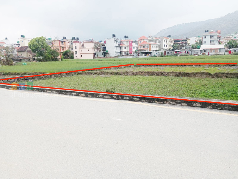 Land on Sale at Pasikot