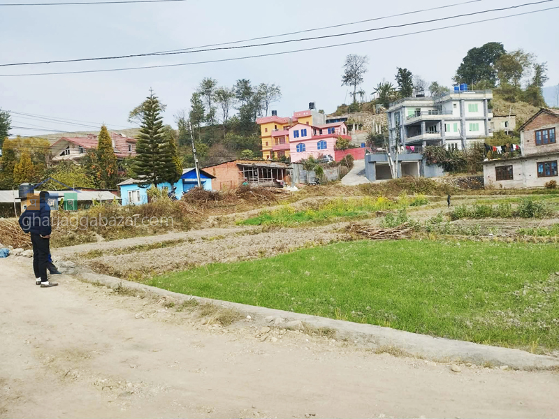 Land on Sale at Sudal