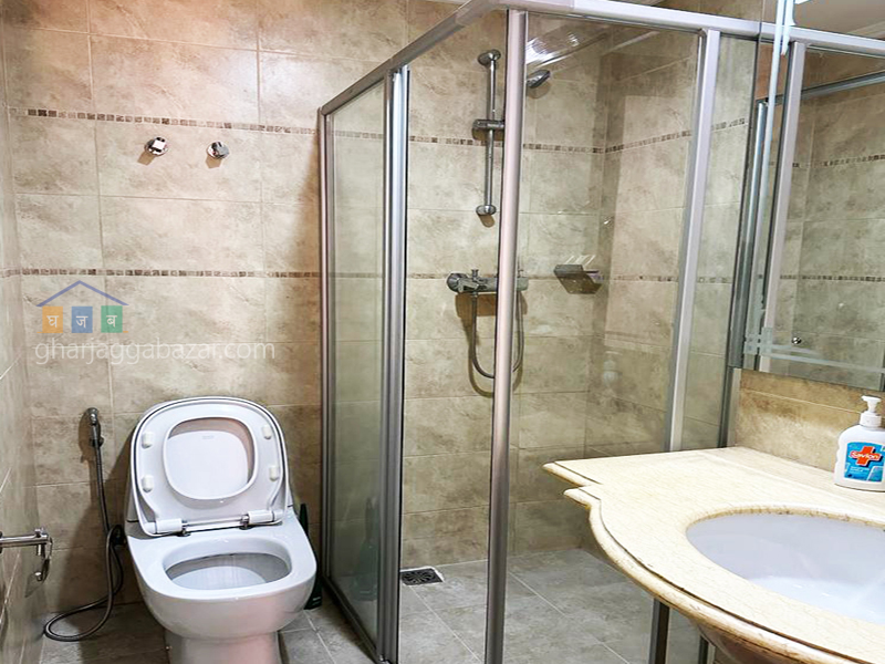 Apartment on Rent at Panipokhari 