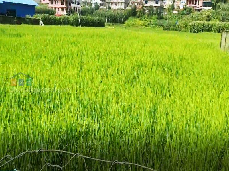 Land on Sale at Banepa