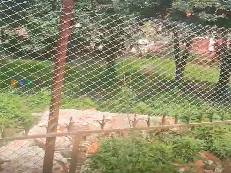 Land on Sale at Dhapakhel