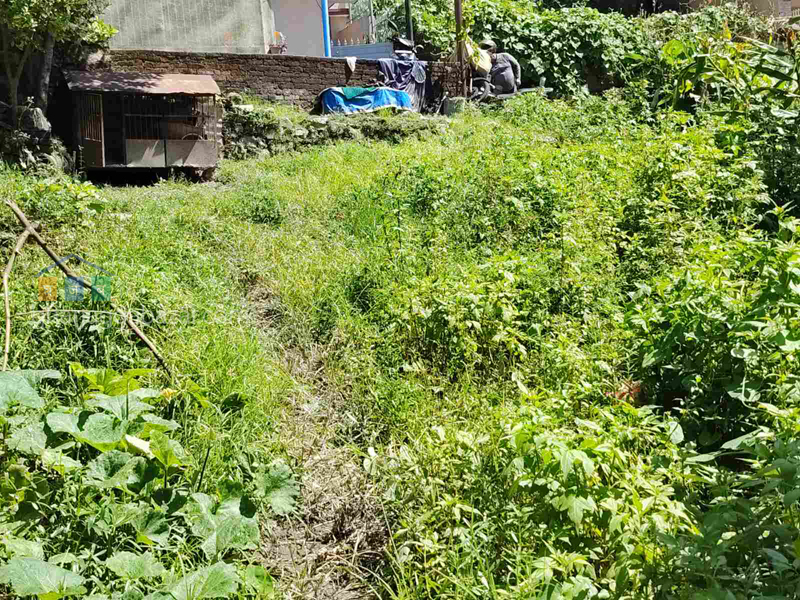Land on Sale at Maharajgunj