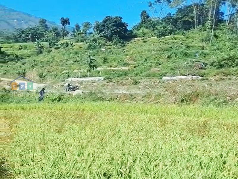 Land on Sale at Kakani Nuwakot