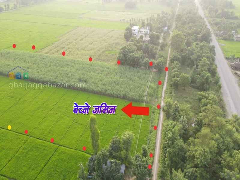Land On Exchange at Kalika Kanchanpur