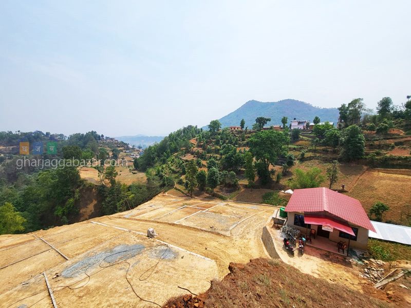 Planning Land on Sale at Chhampi