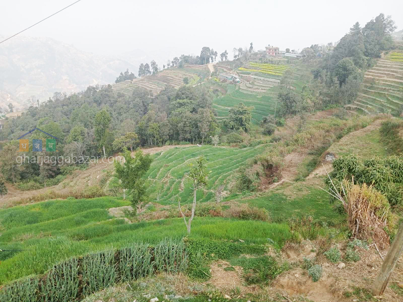 Land for Farming at Nagarkot