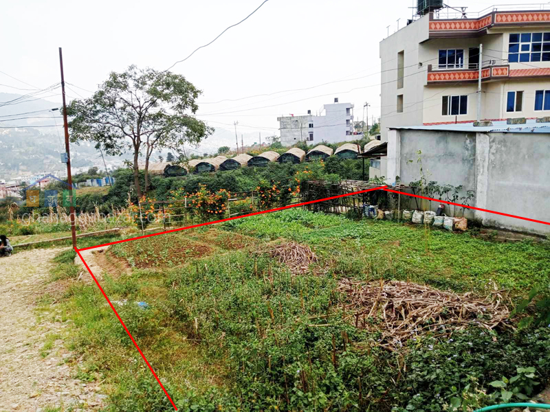 Land on Sale at Thankot