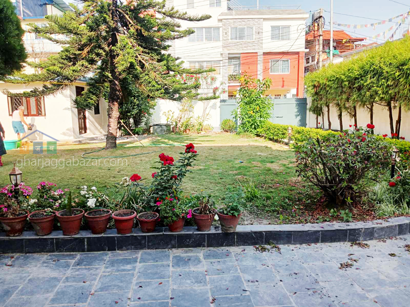 House on Rent at Maharajgunj