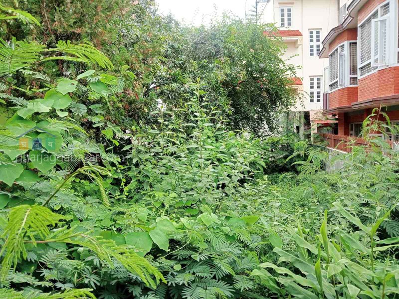Land on Sale at Mid Baneshwor