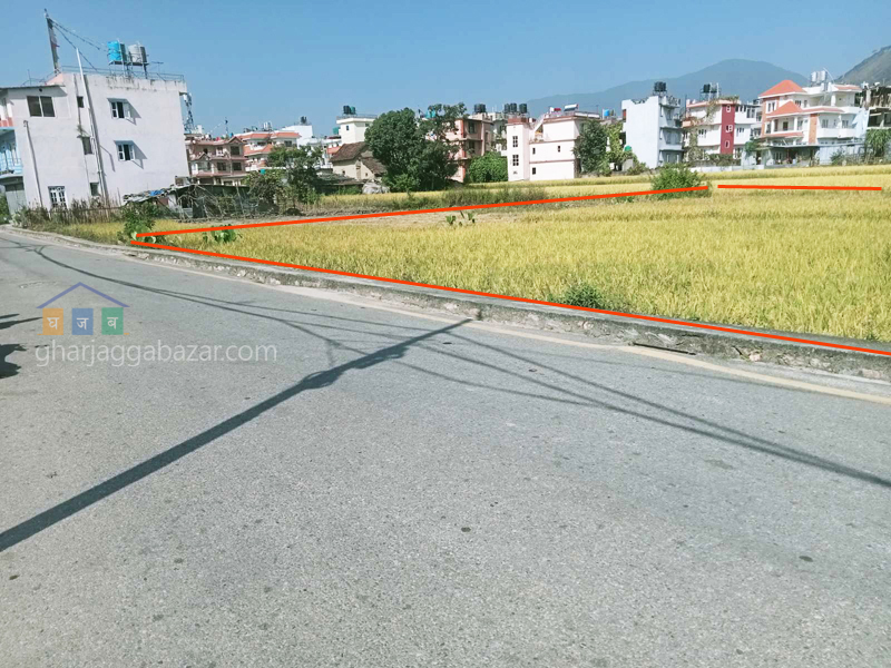 Land on Sale at Pasikot