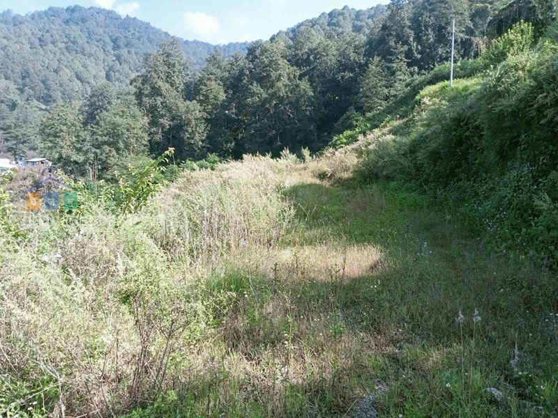 Land on Sale at Narayanthan Taulung