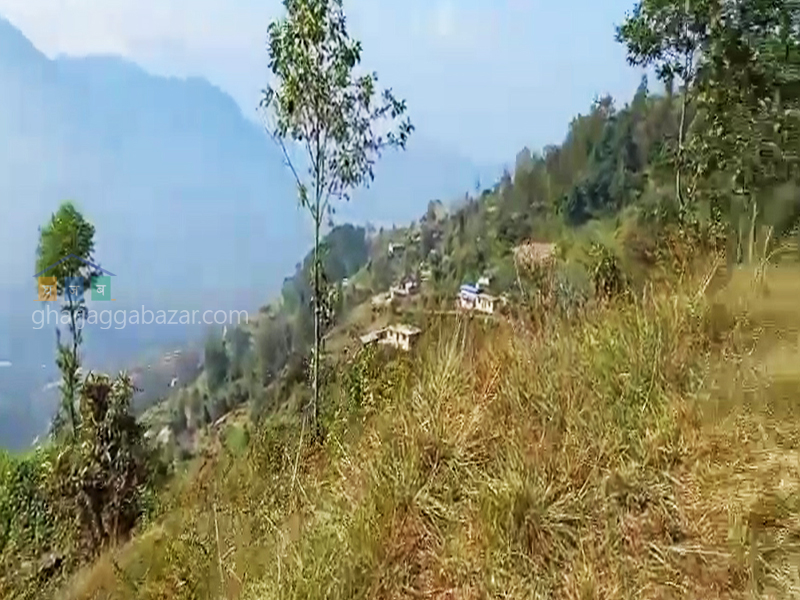 Land on Sale at Nuwakot