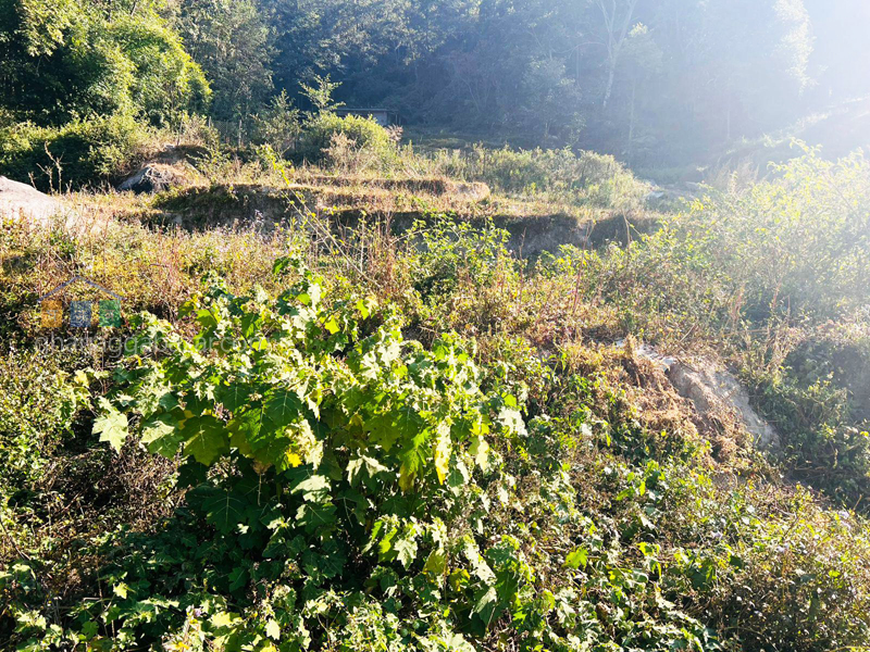 Land on Sale at Budhanilkantha