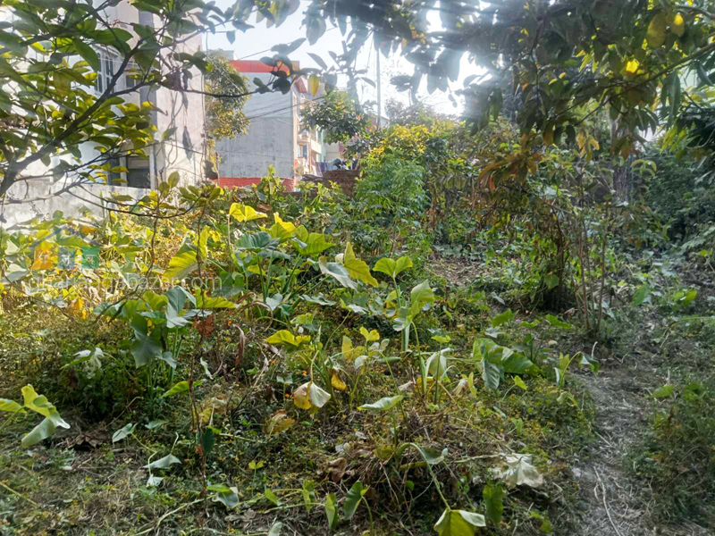 Land on Sale at Chhauni Kimdol