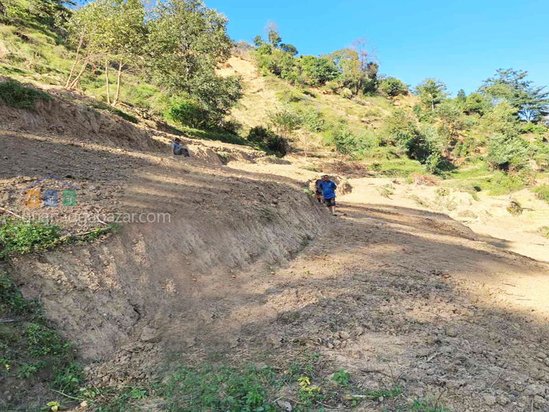 Land on Sale at Chhampi