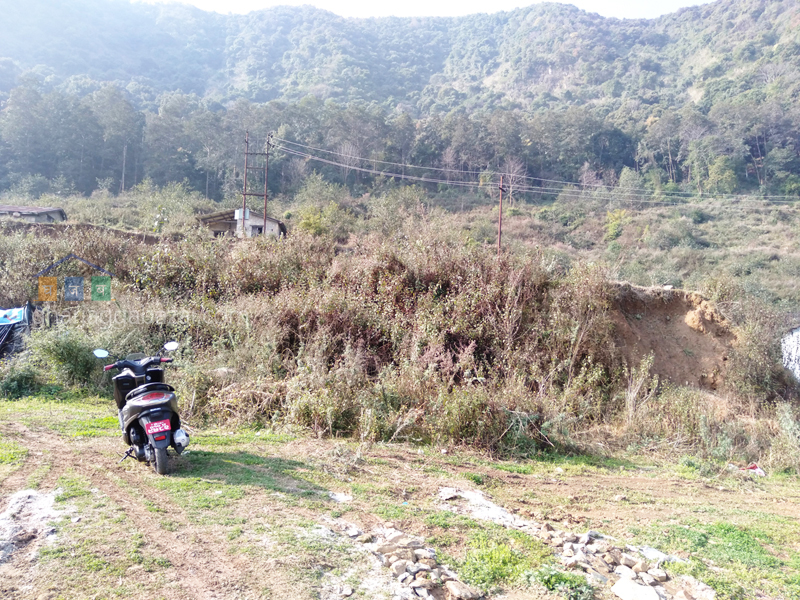 Land for Plotting at Kirtipur Machhegaun