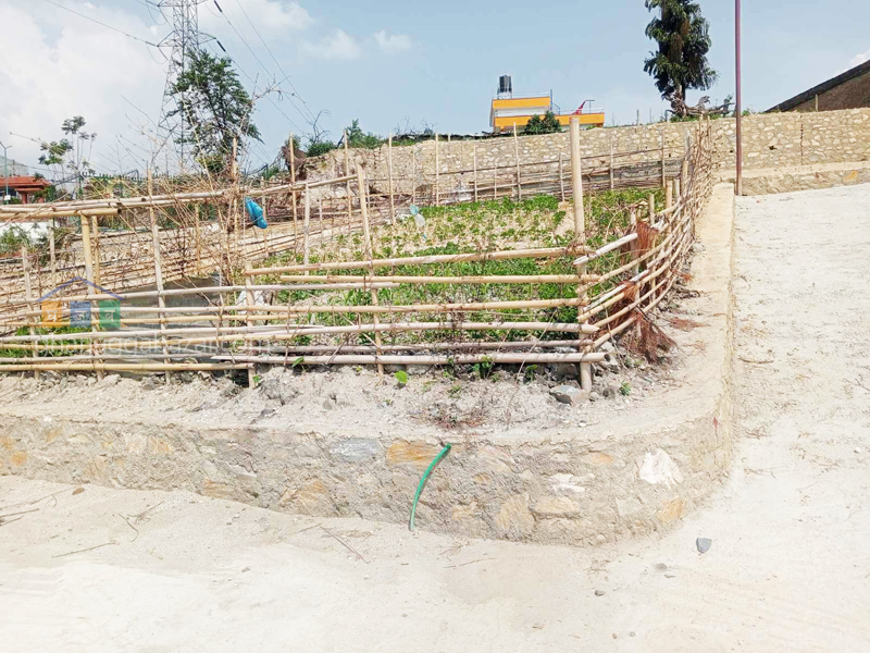 Land on Sale at Chapali Ghumti