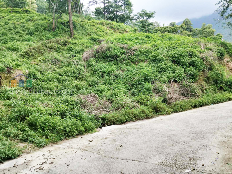 Land on Sale at Narayanthan Height