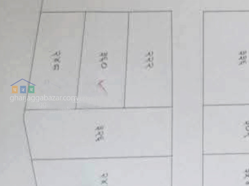 Planning Land on Sale at Bhutaha Bardaghat