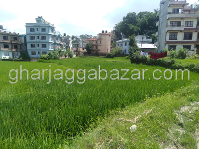 Land on Sale at Khadka Bhadrakali