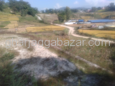 Land on Sale at Jhaukhel