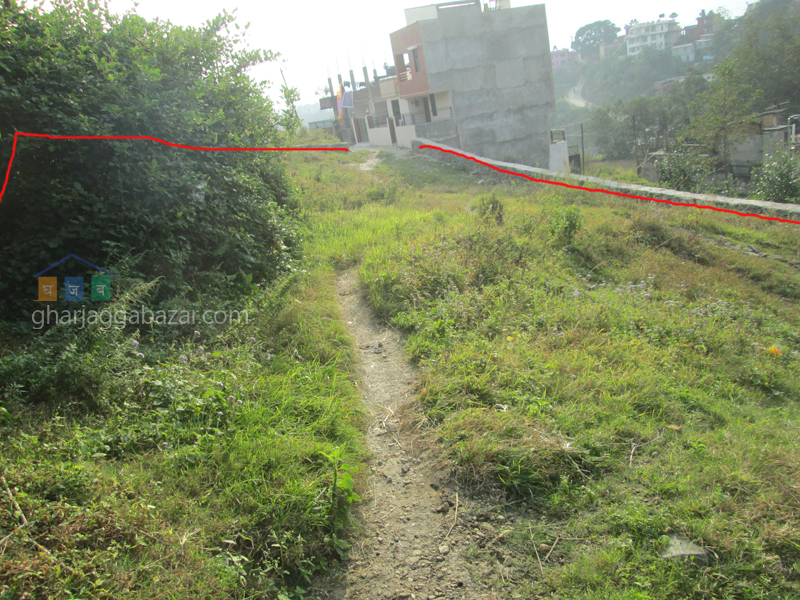 Land on Sale at Chapali Bhangal