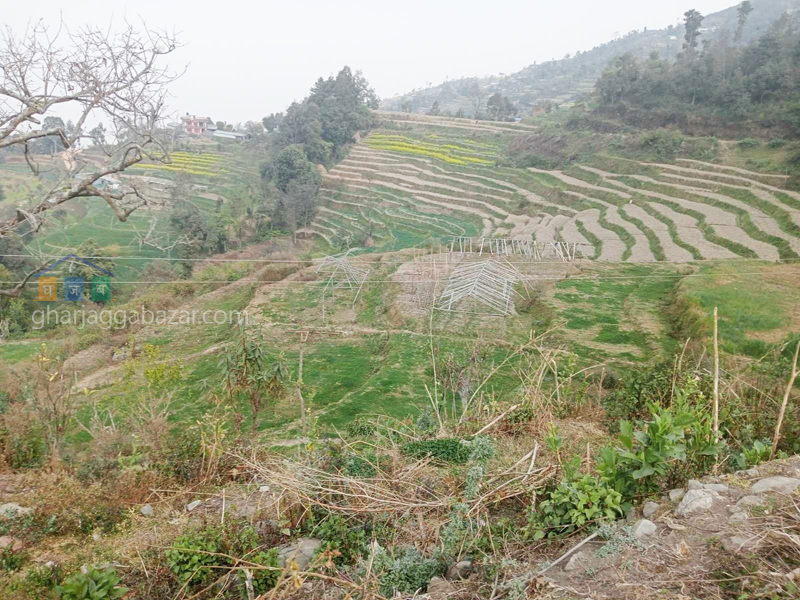 Land for Farming at Nagarkot