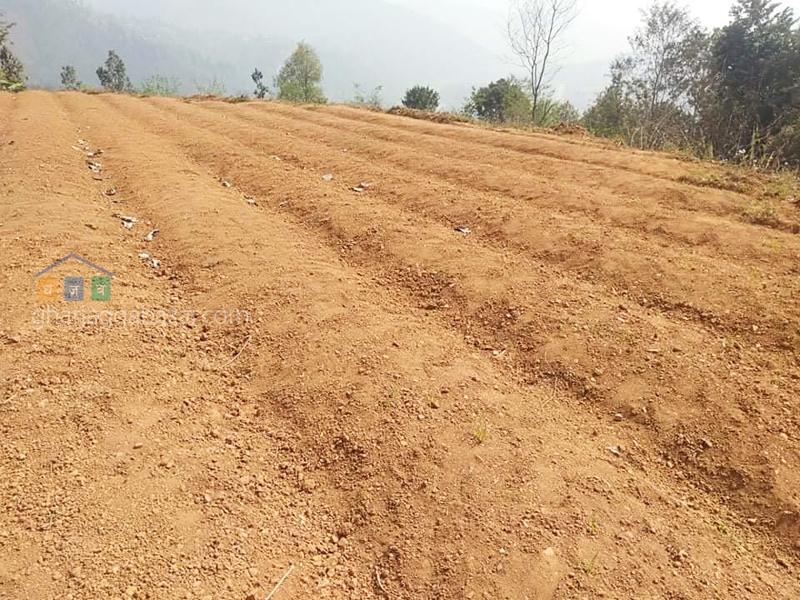 Land for Farming at Gajuri