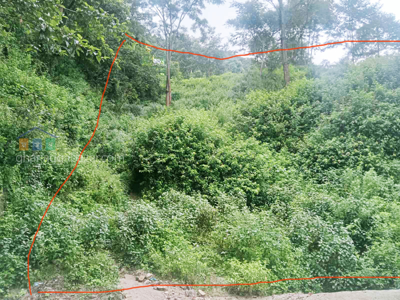 Land on Sale at Narayanthan Height