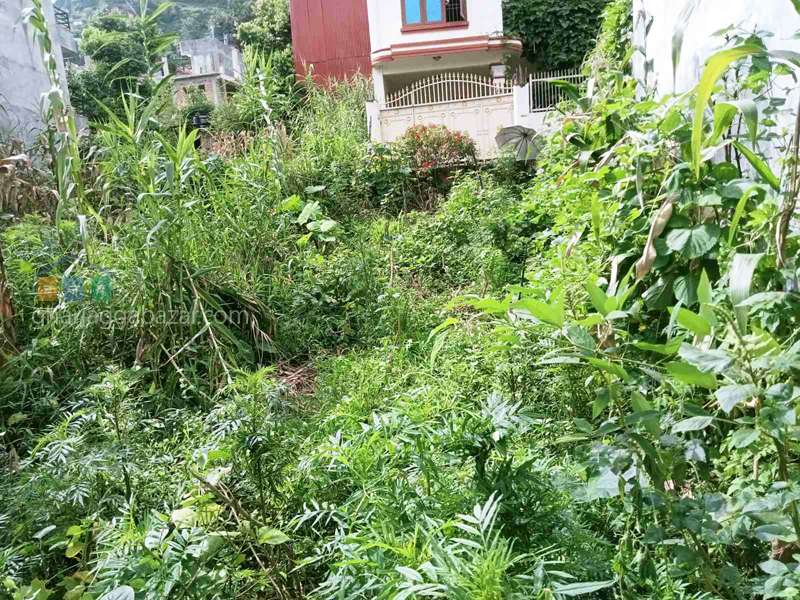 Land on Sale at Thulo Bharyang