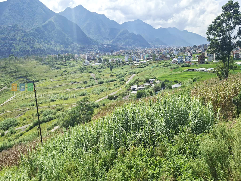 Land for Housing at Chobhar Kirtipur