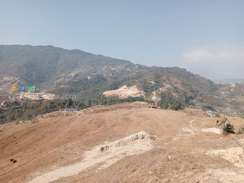 Land on Sale at Jarsing Pauwa