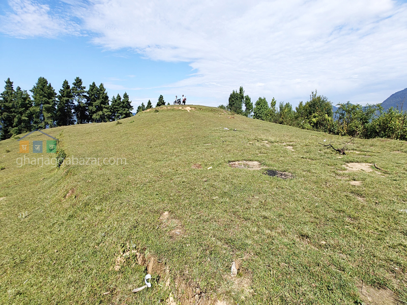 Land for Hotel Resort on Sale at Chaimale