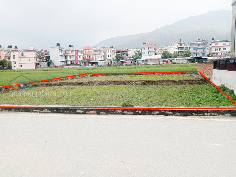 Land on Sale at Pasikot