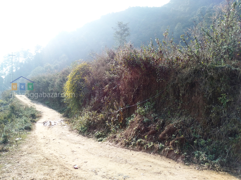 Land for Plotting at Kirtipur Machhegaun