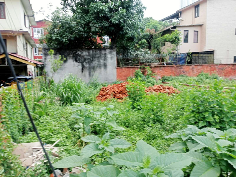 Land on Sale at Manbhawan