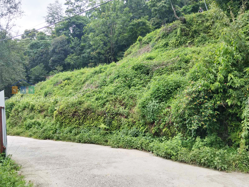 Land on Sale at Narayanthan Height