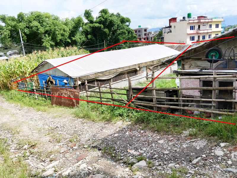 Land on Sale at Gokarneshwar