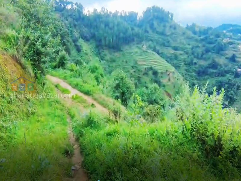 Land for Hotel Resort on Sale at Lakuri Bhanjyang