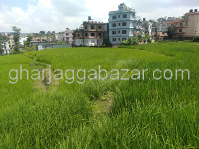 Land on Sale at Khadka Bhadrakali
