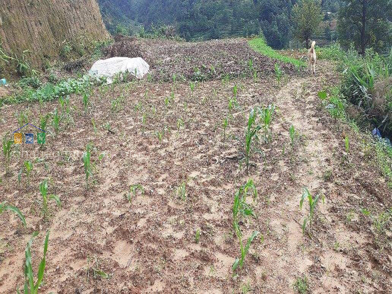 Land on Sale at Dhading
