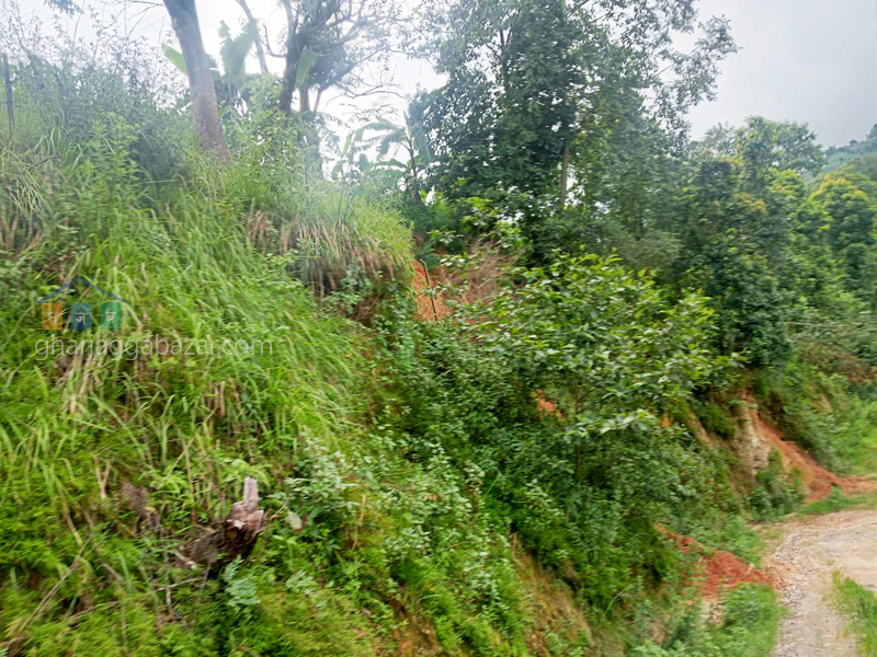 Land on Sale at Banepa Chapleti Opi