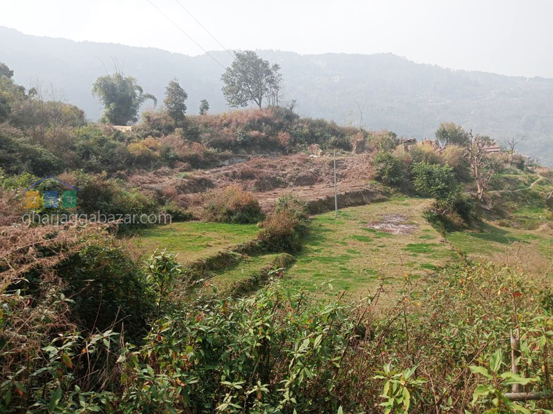 Land for Farming at Nagarkot