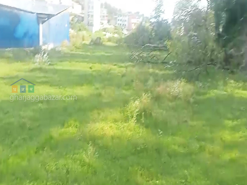 Land on Rent at Chapali Ghumti