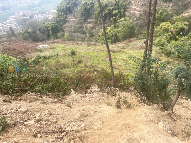 Land for Plotting at Doleswor Ashapur