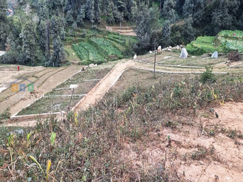 Land on Sale at Dhading