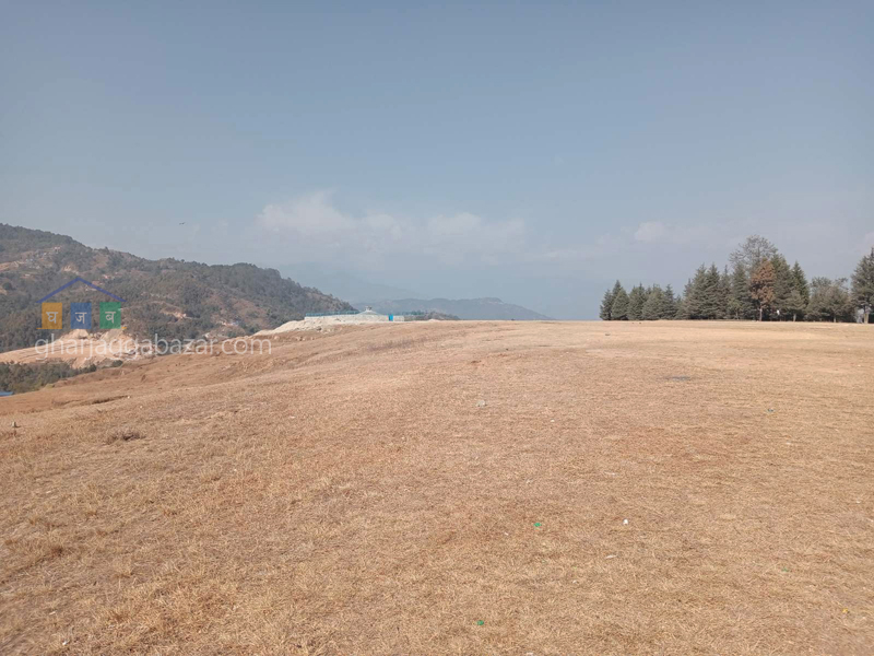 Land on Sale at Jarsing Pauwa